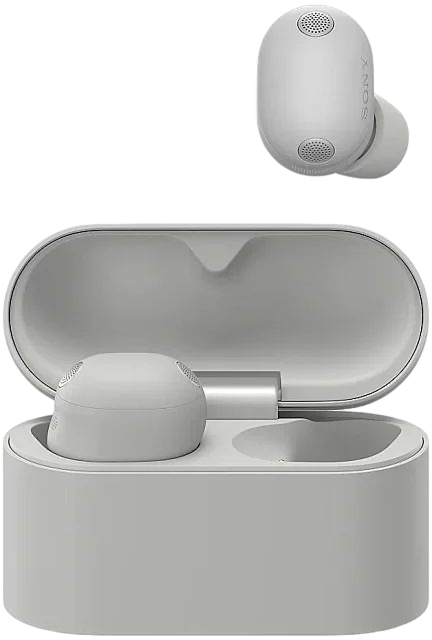 Наушники Sony WF-1000XM6 (серебристый)