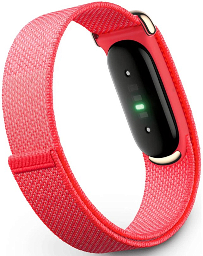 Фитнес-браслет Google Fitbit Air (ягода)
