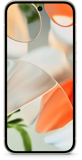 Смартфон Google Pixel 9 12/256GB JP (фарфоровый)