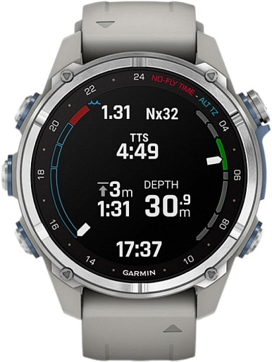 Умные часы Garmin ️DESCENT MK3 43mm (серый)