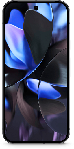 Смартфон Google Pixel 9 Pro XL 16/256GB JP (черный)