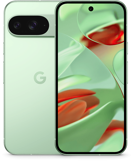 Смартфон Google Pixel 9 12/128GB JP (зеленый)