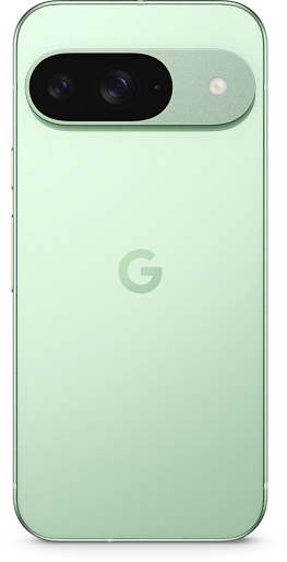 Смартфон Google Pixel 9 12/128GB JP (зеленый)