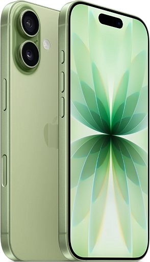 Смартфон Apple iPhone 17 256GB (зеленый) Активирован 