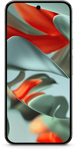 Смартфон Google Pixel 9 Pro XL 16/512GB US (ореховый)