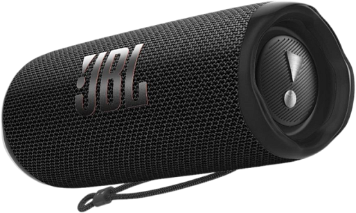 Акустика JBL Flip 6 (черный)