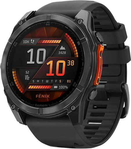 Умные часы Garmin Fenix 8 Amoled 51mm (серый/черный) EU