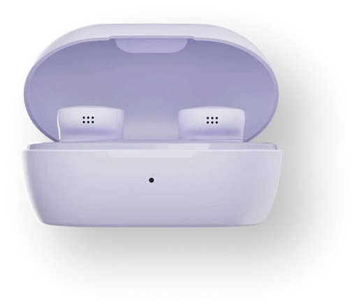 Наушники Bose QuietComfort Earbuds (лиловый)